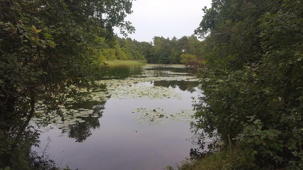 Domki Na Zytniej Kopalino Exteriör bild