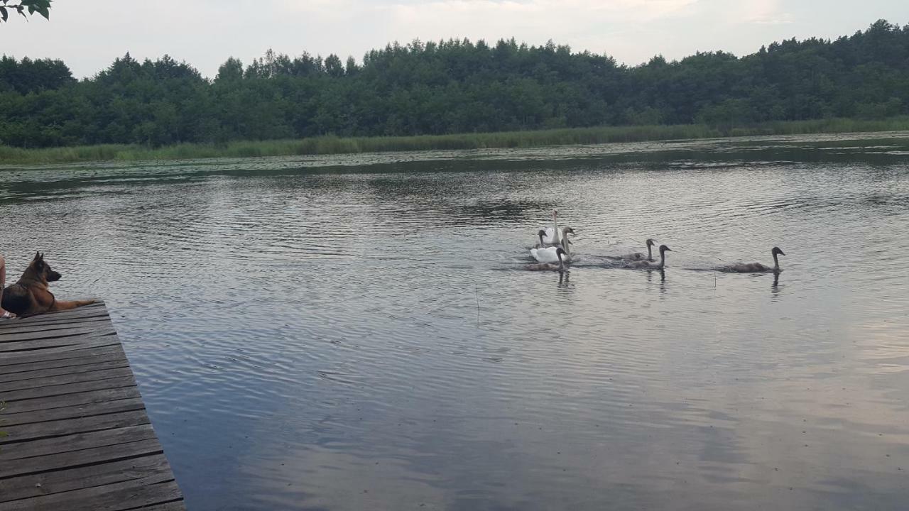Domki Na Zytniej Kopalino Exteriör bild